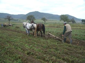 rural, ardeal, cazare, program